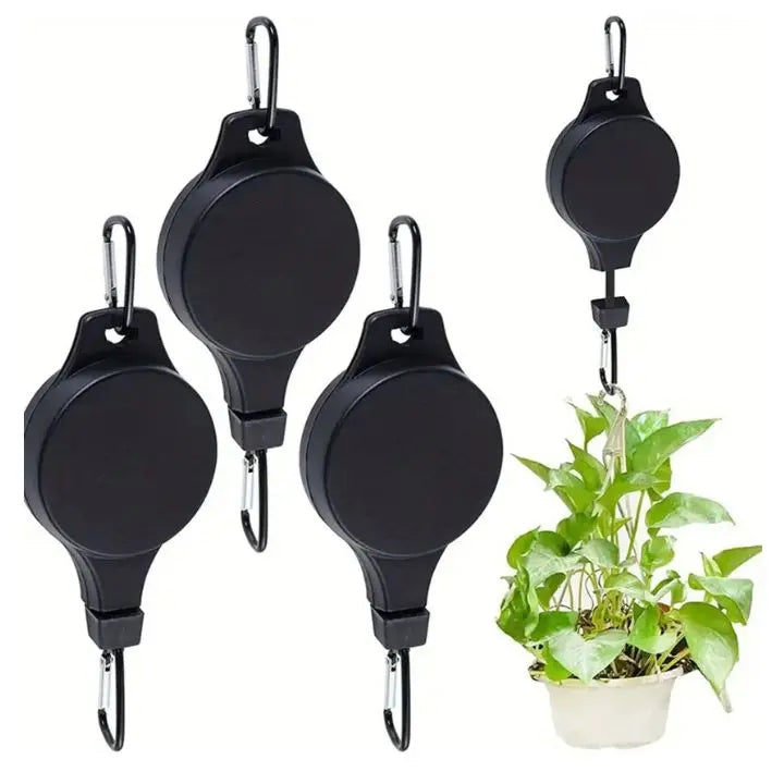 2+2 Gratis | Das elegante Pflanzen-Hängeset für dein Zuhause