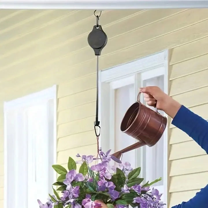2+2 Gratis | Das elegante Pflanzen-Hängeset für dein Zuhause