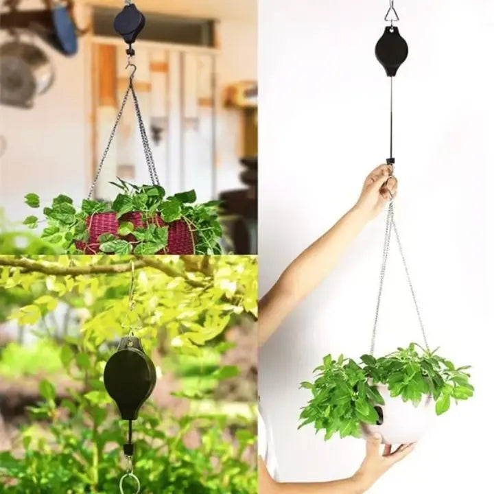 2+2 Gratis | Das elegante Pflanzen-Hängeset für dein Zuhause
