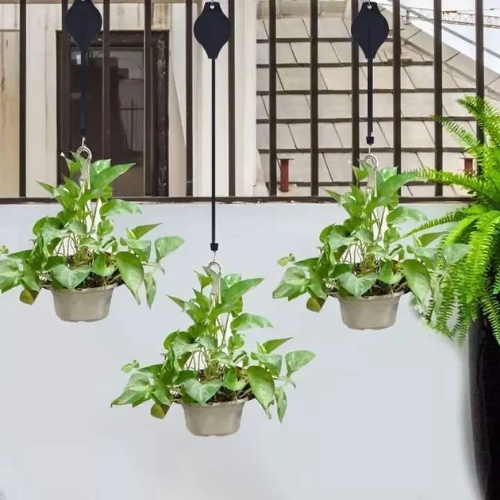 2+2 Gratis | Das elegante Pflanzen-Hängeset für dein Zuhause