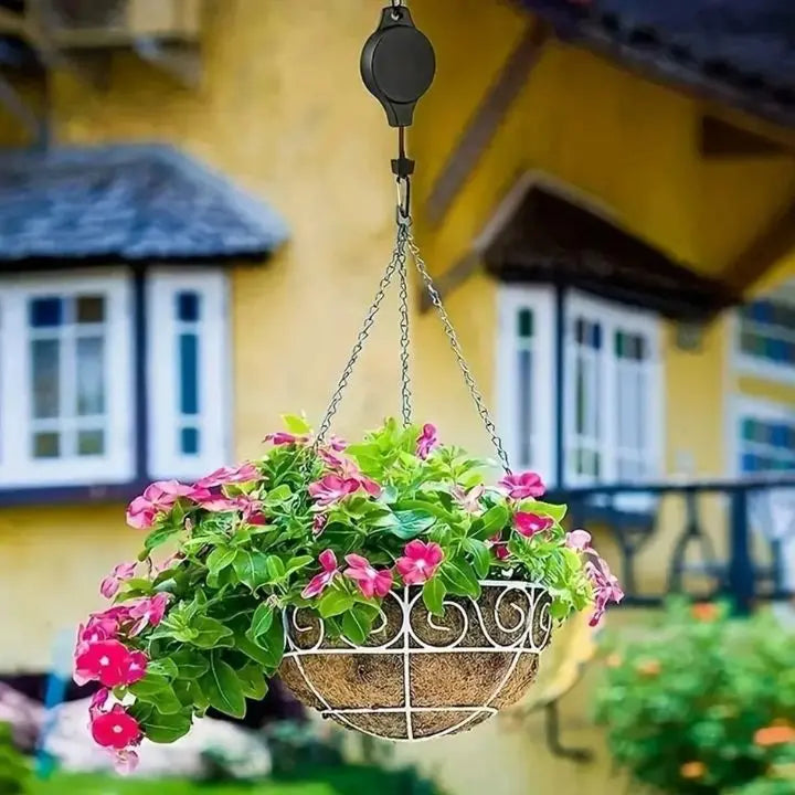 2+2 Gratis | Das elegante Pflanzen-Hängeset für dein Zuhause